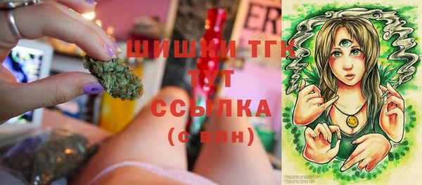 твердый Бежецк